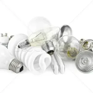 Bulbs