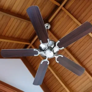 Fans (Ceiling, Exhaust, Pedestal)